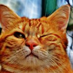 『結婚学校』～北海道十勝で自分らしい結婚に気づく語りあい学びあいの場