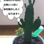 『結婚学校』～北海道十勝で自分らしい結婚に気づく語りあい学びあいの場