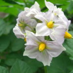 『結婚学校』～北海道十勝で自分らしい結婚に気づく語りあい学びあいの場