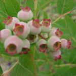 『結婚学校』～北海道十勝で自分らしい結婚に気づく語りあい学びあいの場