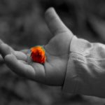 北海道十勝でありのままの自分らしい結婚、婚活に気づく語りあい学びあいの場『結婚学校』