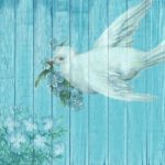 北海道十勝でありのままの自分らしい結婚、婚活に気づく語りあい学びあいの場『結婚学校』