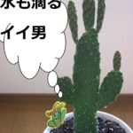 『結婚学校』～北海道十勝でありのままの自分らしい結婚、婚活に気づく語りあい学びあいの場