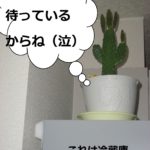 『結婚学校』～北海道十勝でありのままの自分らしい結婚、婚活に気づく語りあい学びあいの場