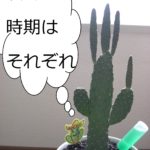 サボたん６｜北海道十勝でありのままの自分らしい結婚、婚活に気づく語りあい学びあいの場『結婚学校』