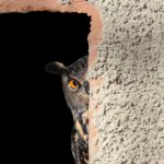 のぞき見|北海道十勝でありのままの自分らしい結婚、婚活に気づく語りあい学びあいの場『結婚学校』